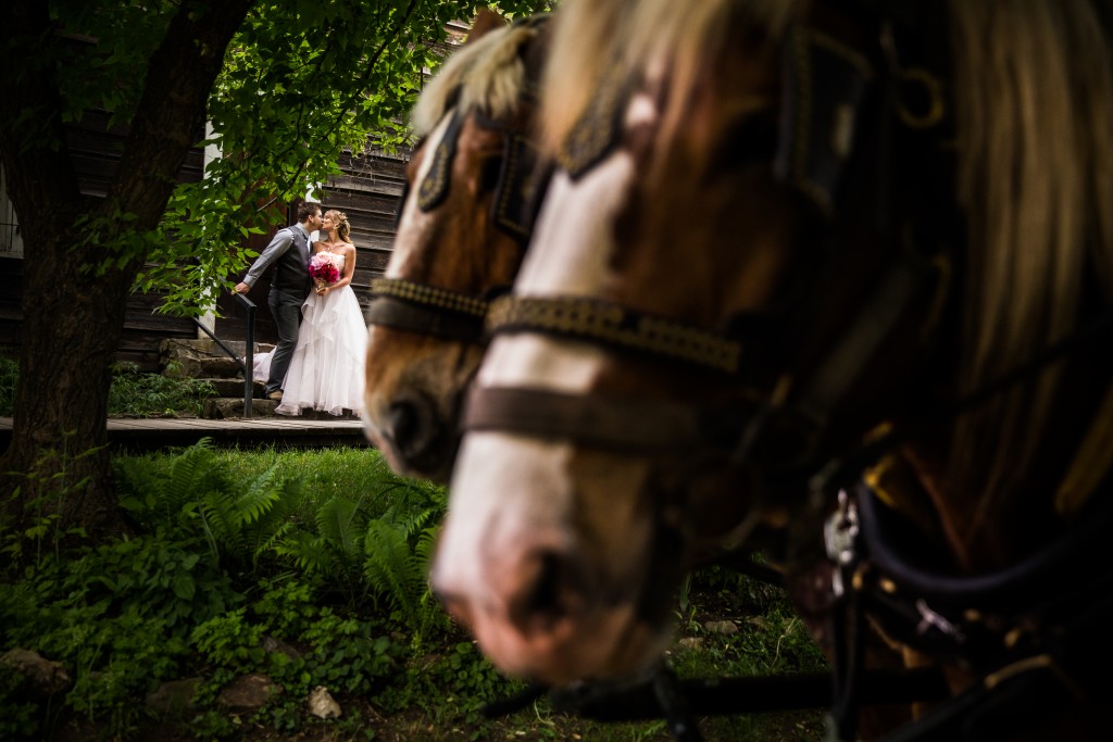 Stellavate Photography | Victoria BC wedding Photographer | bride and groom kiss behind horse drawn carriage