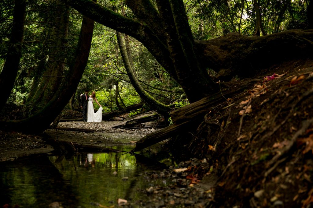 Stellavate Photography | Victoria BC wedding Photographer | Bride and groom walk through BC forest