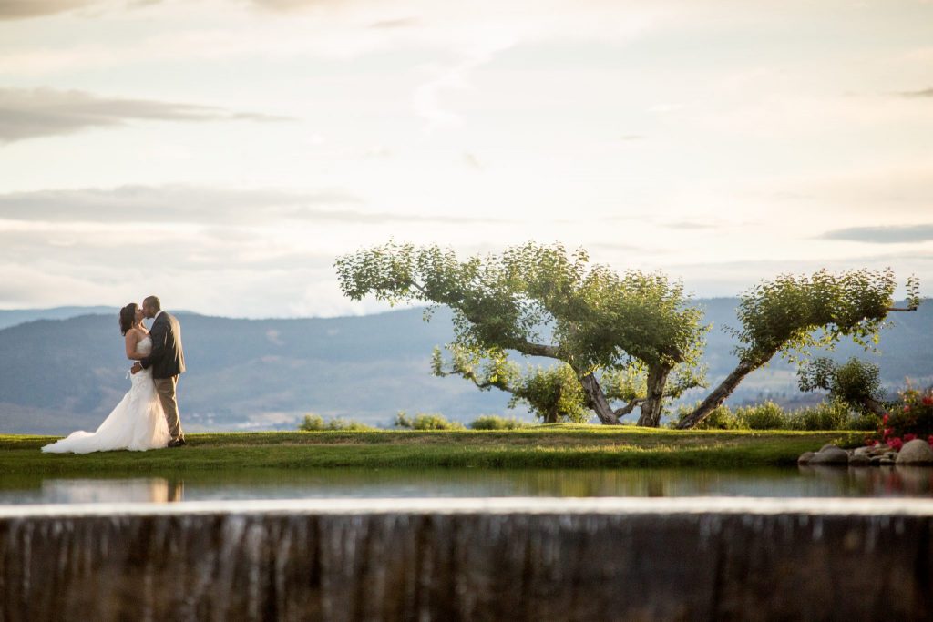 Stellavate Photography | Victoria BC wedding Photographer | Bride and groom walking above waterfall