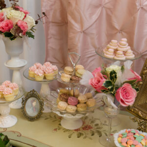 Victoria BC Corporate Event Photographer Stellavate Photography